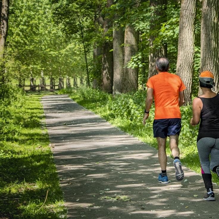 Weight training area with free weights and machines